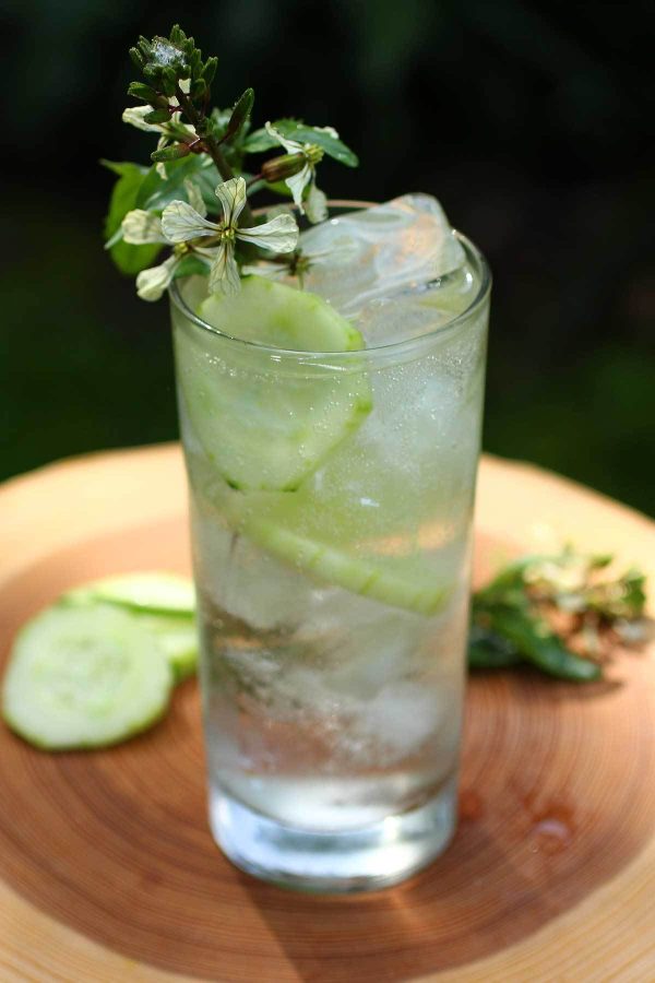 white-wine-spritzer