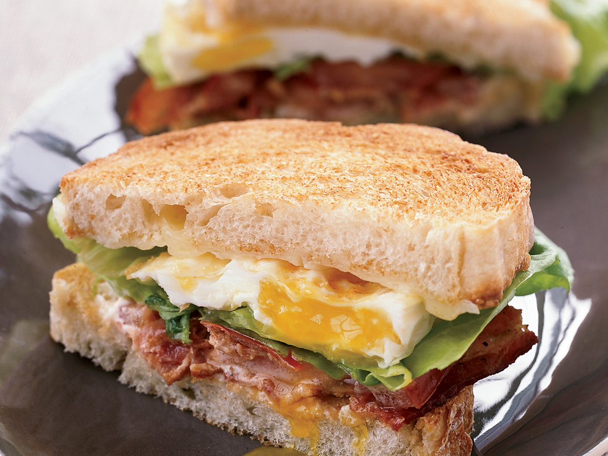Microwave Egg Sandwich Recipe - HungryForever Food Blog