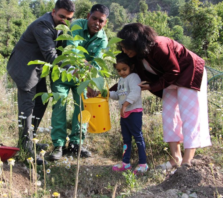 Jw Marriott Mussoorie Walnut Grove Resort Spa Celebrates National Walnut Day Hungryforever